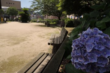 The garden is a great place to sit and relax
