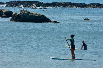 Stand-up paddle boarding