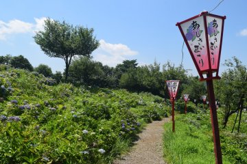 Paths and lanterns