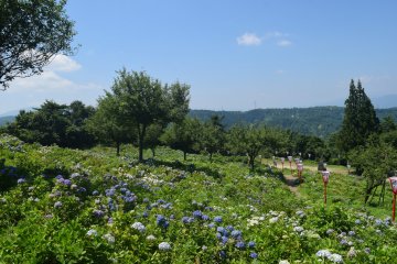 From the top of the park you can get some great views of the surrounding mountains