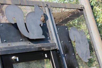 Enter the Squirrel Trail and watch Japanese squirrels race around your legs and jump through the trees.