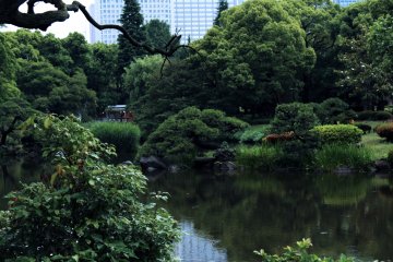 Hibiya Park in Central Tokyo