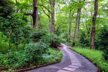 The perfect place to escape the big city feeling and enjoy the fresh air.