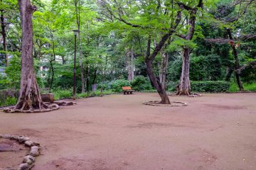 There's lots of space for families in the park, making it a perfect outing for the family.