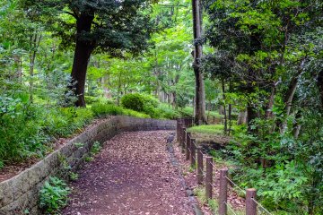 There are many different routes you can take