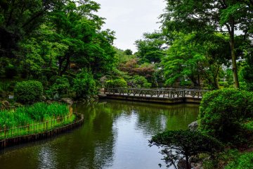 Keep a look-out for some gigantic Koi fish and the occasional turtle inside the ponds