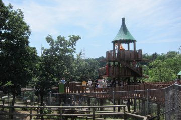 A playground within the zoo for kids. As you climb up the tower, you get to learn about the different animals residing in the zoo, its characteristics, how it feeds etc. What´s more, there is a slide to bring you all the way down, so you don´t have to cli