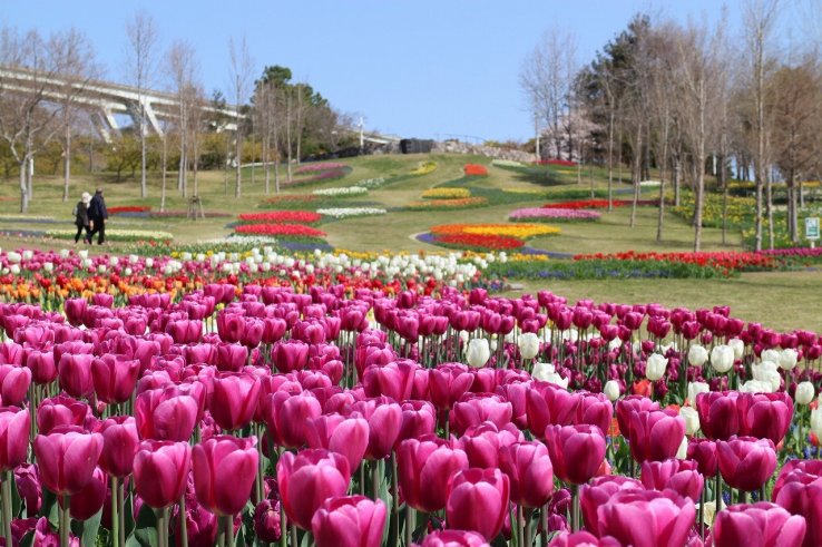 Akashi Kaikyo Park