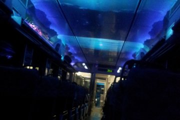 The carriage lit up during one of the many tunnels
