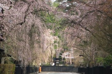 Kakunodate
