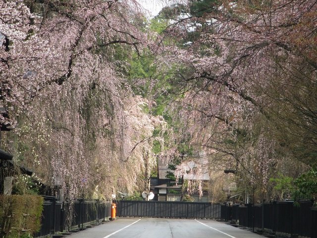 Kakunodate