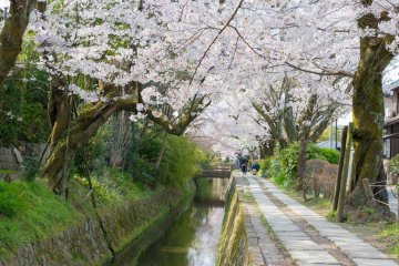 Philosopher's Path, Kyoto