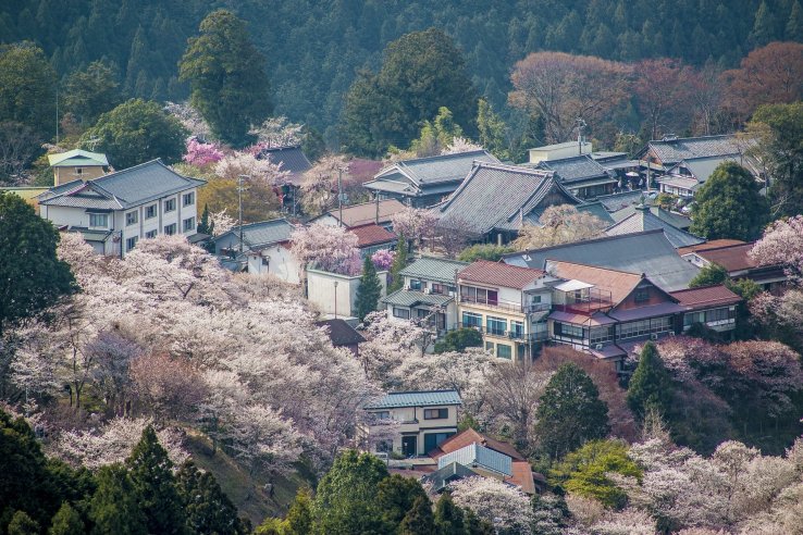 Mount Yoshino, Nara