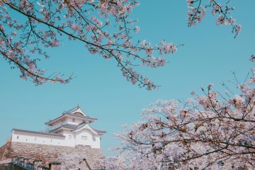 Tsuyama Castle, Okayama