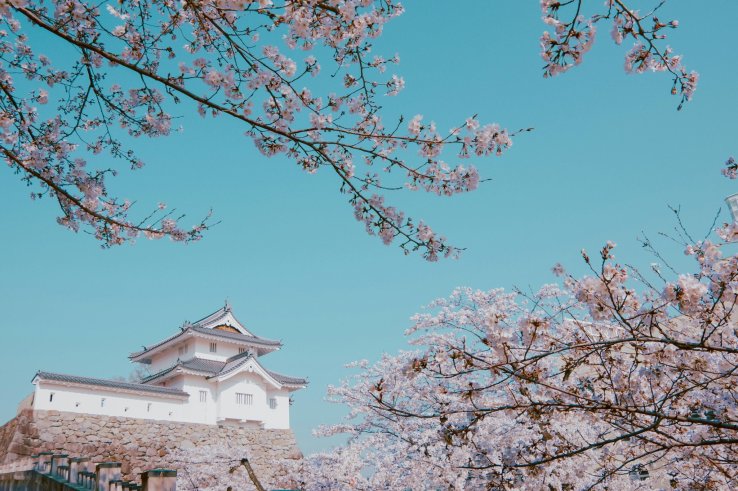 Tsuyama Castle, Okayama