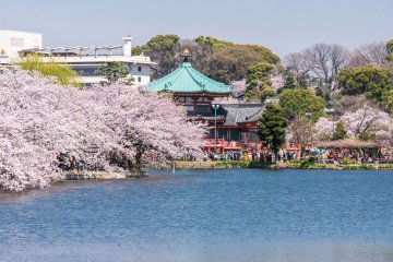 Ueno Park, Tokyo
