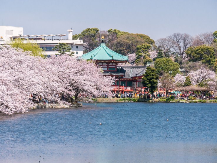 Ueno Park, Tokyo