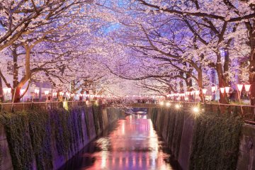 Nakameguro, Tokyo