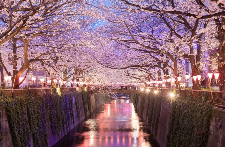 Nakameguro, Tokyo