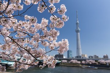 Sumida River, Asakusa, Tokyo