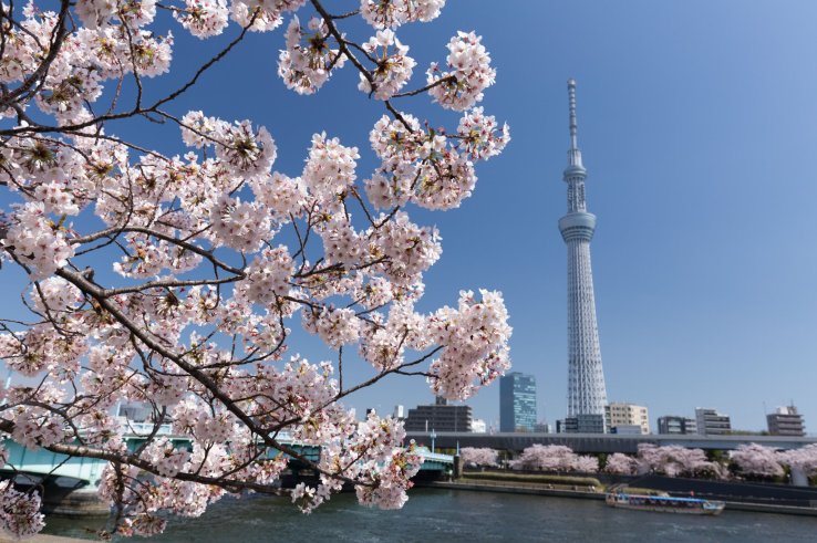 Sumida River, Asakusa, Tokyo