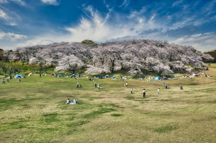 Negishi Forest Park, Yokohama