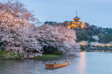Yokohama Sankeien Garden, Kanagawa Prefecture