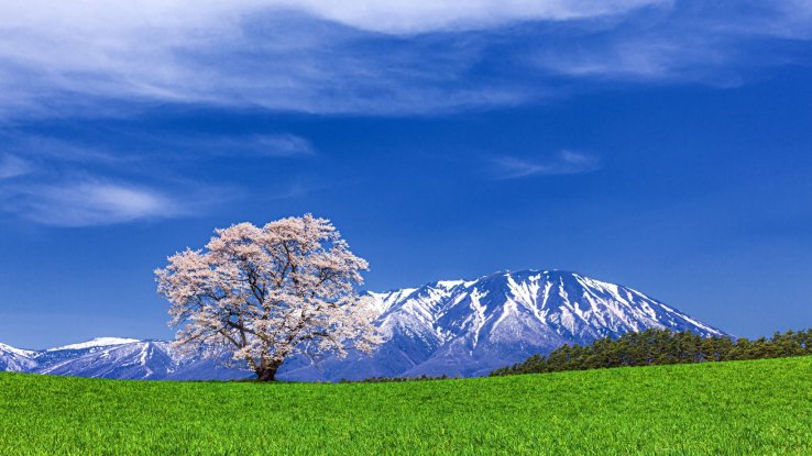 Koiwai Farm, Mt. Iwate, Iwate Prefecture