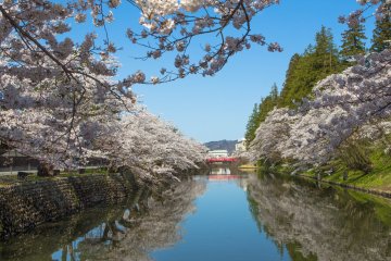 Matsugasaki Park, Yamagata