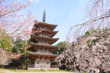 Daigoji Temple, Kyoto