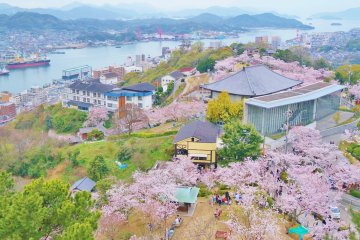 Senkoji Park, Hiroshima