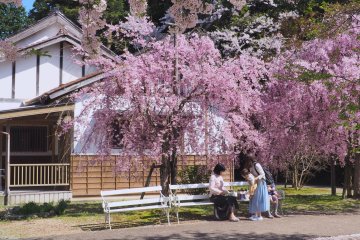 Utsubuki Park, Tottori Prefecture