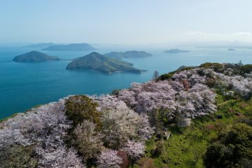 Shiudeyama, Mitoyo City, Kagawa Prefecture