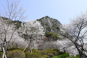 Mifuneyama Rakuen, Saga Prefecture