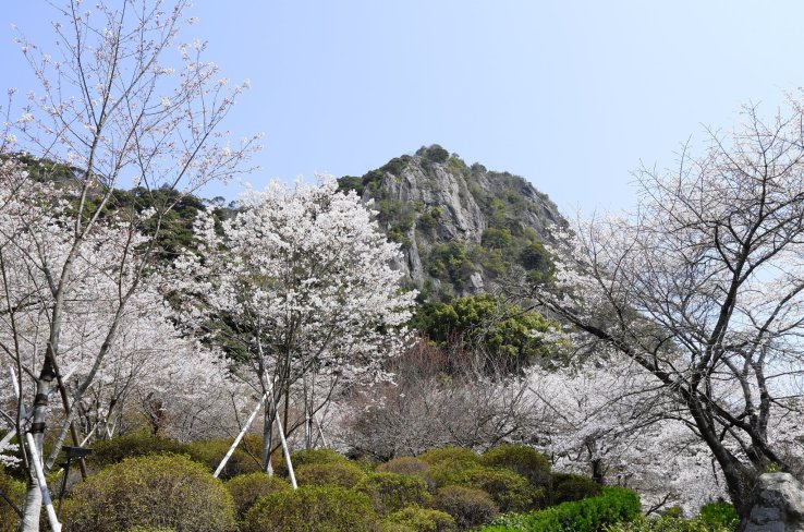 Mifuneyama Rakuen, Saga Prefecture