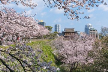 Fukuoka Castle & Maizuru Park, Fukuoka