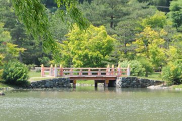 Looking across the pond at turtles and the second bridge