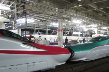 Hayabusa & Super Komachi di Stasiun Sendai, gerbang ke Tohoku