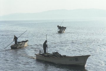 Les pêcheurs de coquillages shijimi sur le lac Shinji, septième plus grand lac du Japon.