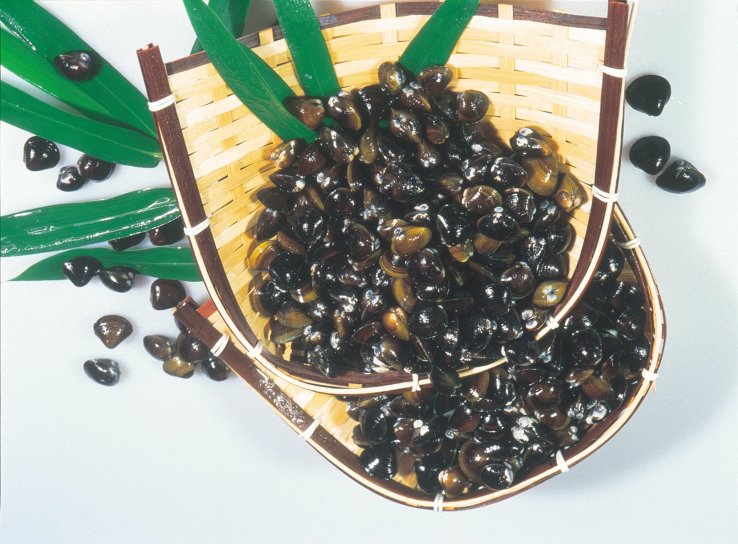 Coquillages shijimi, que l’on consomme très souvent sous forme de soupe ou de bouillon.