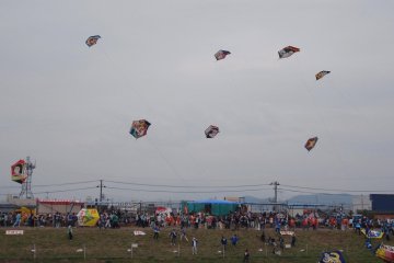 Up, up, and away!