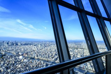 You can even see the curvature of the Horizon from the viewing deck .