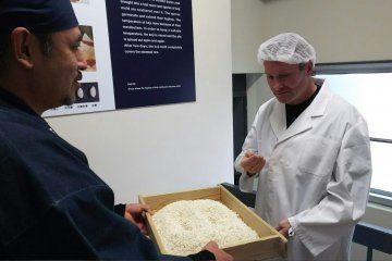 Visitors are encouraged to taste the raw materials at every stage in the sake production