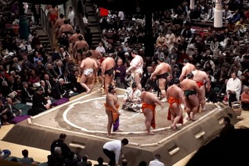Enter the professional division wrestlers