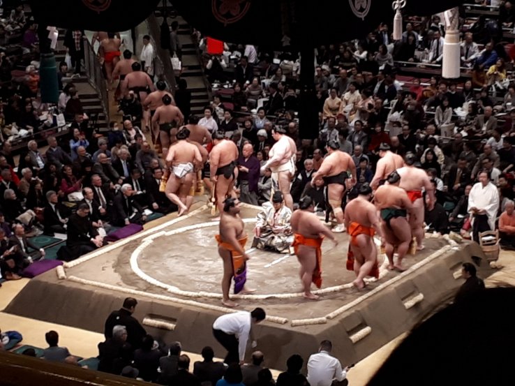 Enter the professional division wrestlers