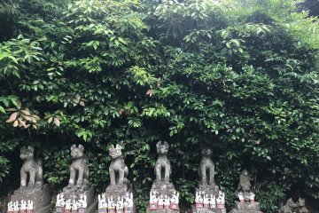 More statues at Jozan Inari Shrine