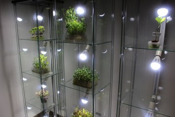 Feeding plants