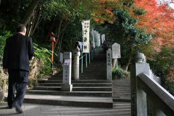Then there are more steps...