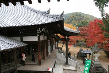 Surrounded by beauty, Jakkoin Temple