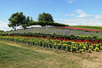 Un paysage multicolore 